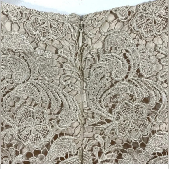 White House  & black Market brand Champagne Lace 3/4 Sleeve Mini Dress - Picture 9 of 10